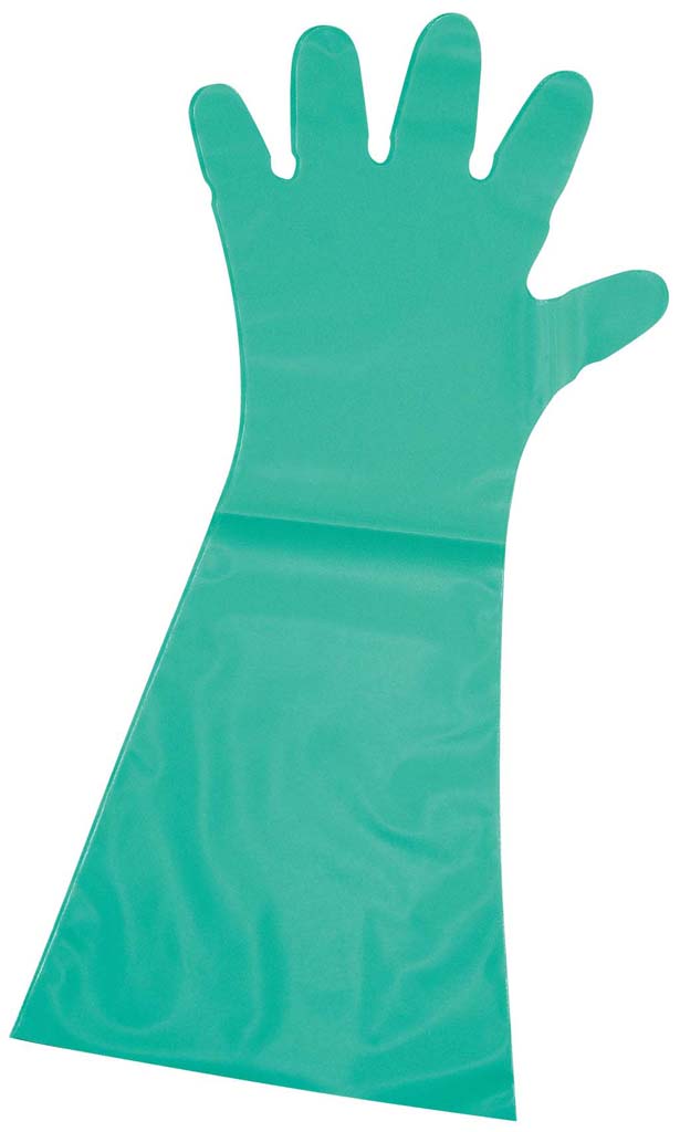 エンボス　手袋　＃５０　ロング（五本絞り）５０枚入